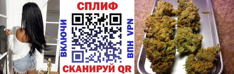 Каннабис планчик  маркетплейс состав  Светлый  продажа наркотиков 